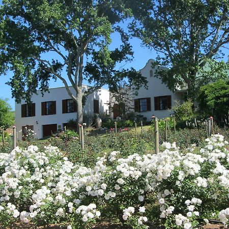 Villa Aan-Den-Weg à Stellenbosch Extérieur photo