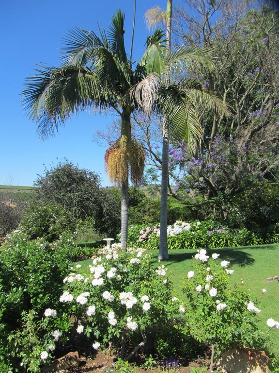 Villa Aan-Den-Weg à Stellenbosch Extérieur photo