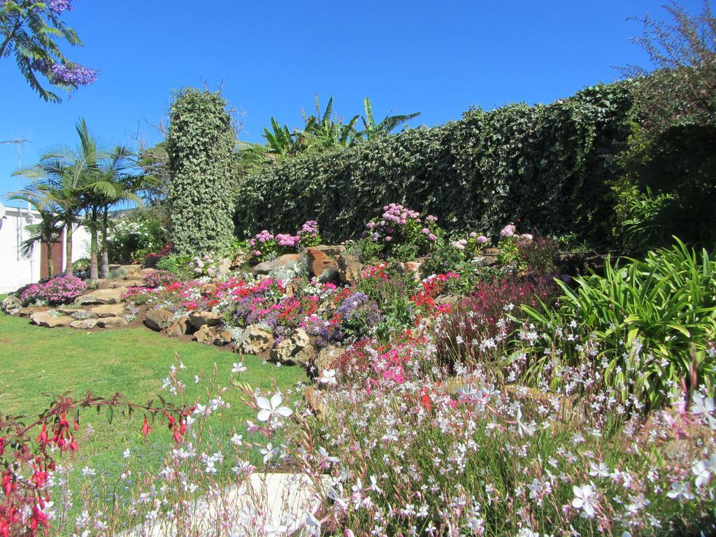 Villa Aan-Den-Weg à Stellenbosch Extérieur photo