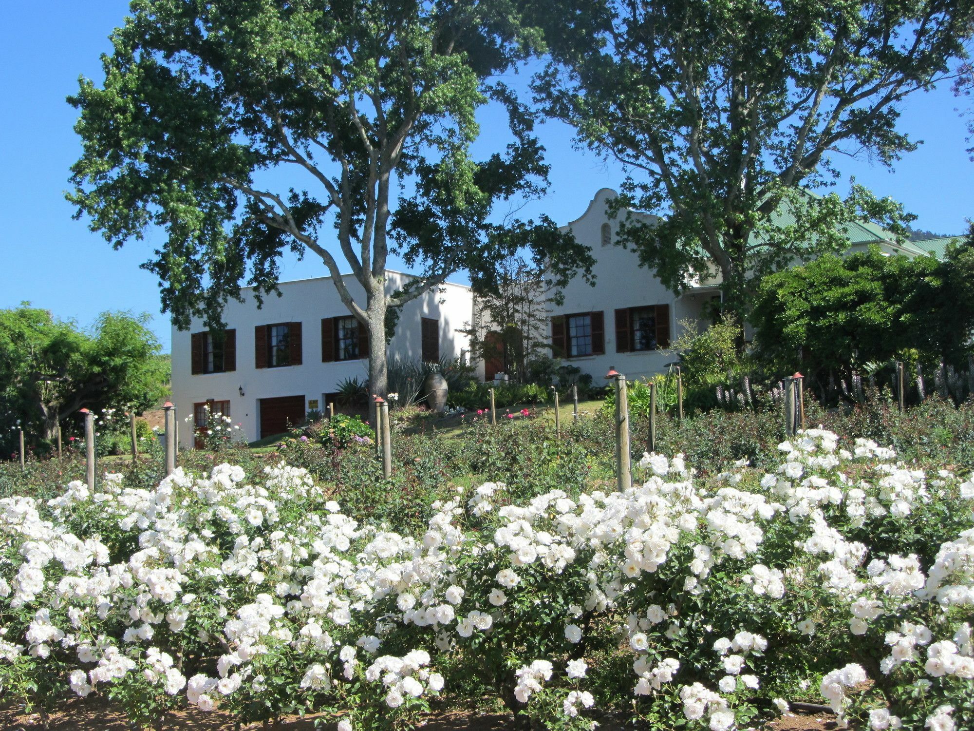 Villa Aan-Den-Weg à Stellenbosch Extérieur photo