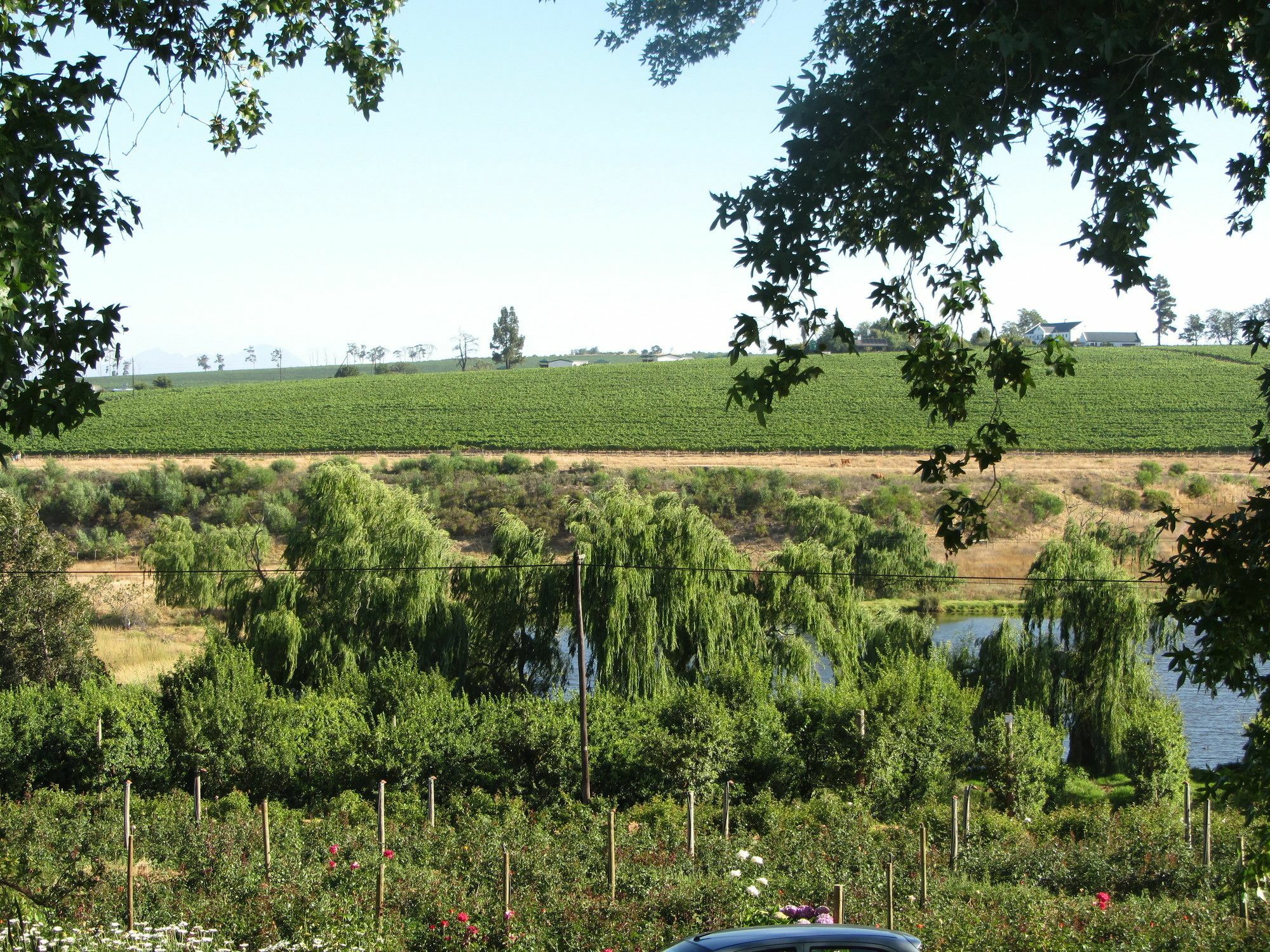Villa Aan-Den-Weg à Stellenbosch Extérieur photo